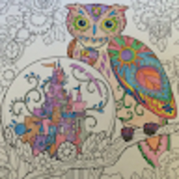 Meet your Posher, Steff - Picture 1 of 1